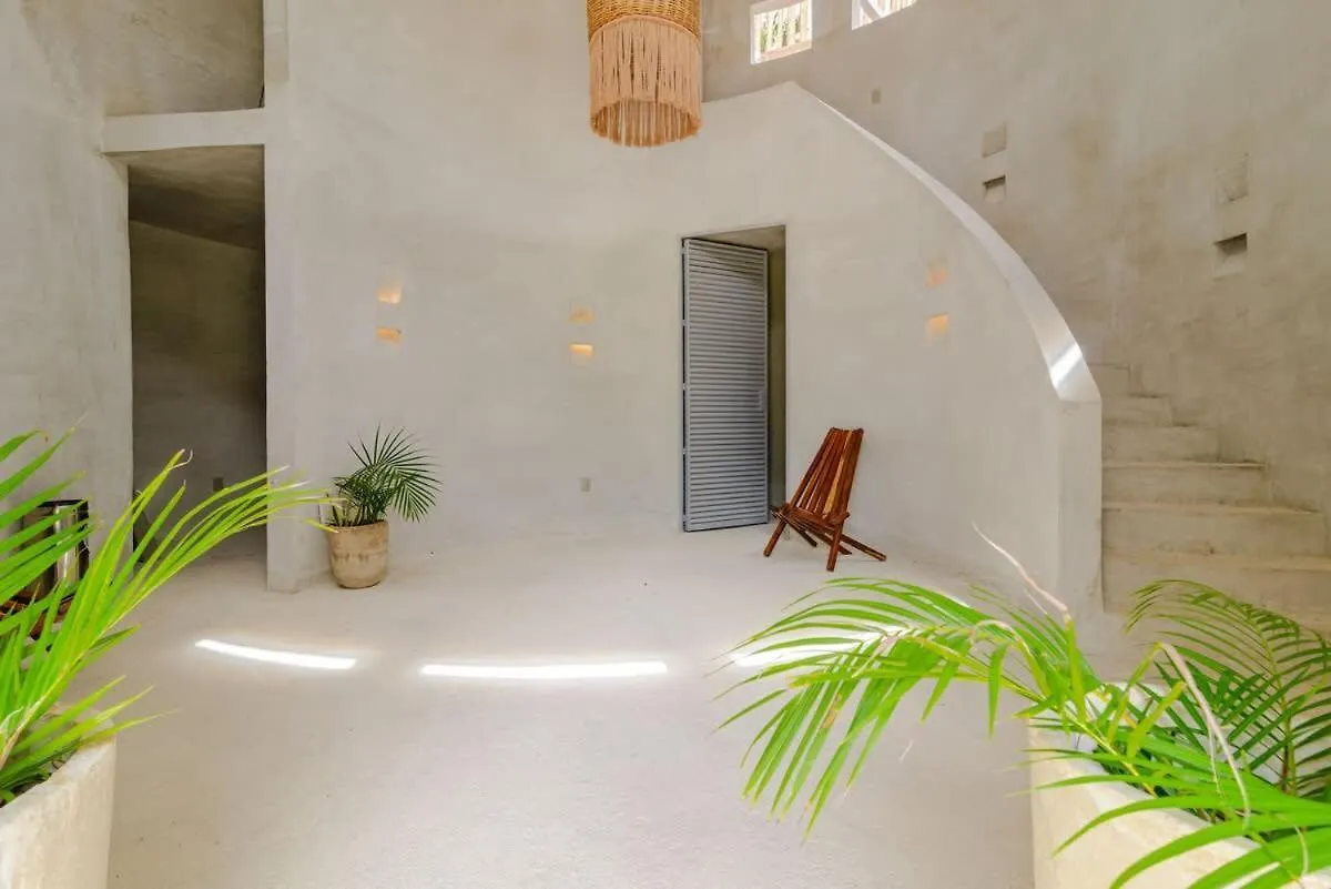 Seremonia Selva New Suite Near Beach For Couple And 2 Kids Private Pool Free Parking 图卢姆 墨西哥